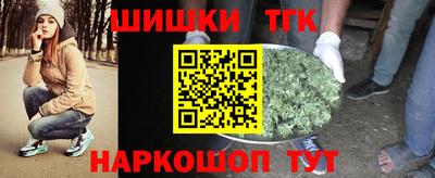 крисы Шелехов