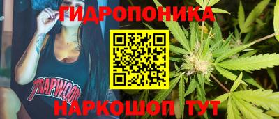 крисы Шелехов