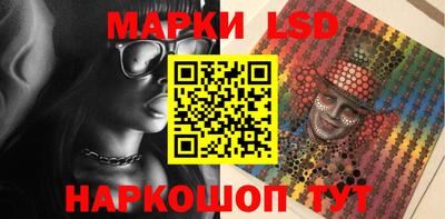 крисы Шелехов