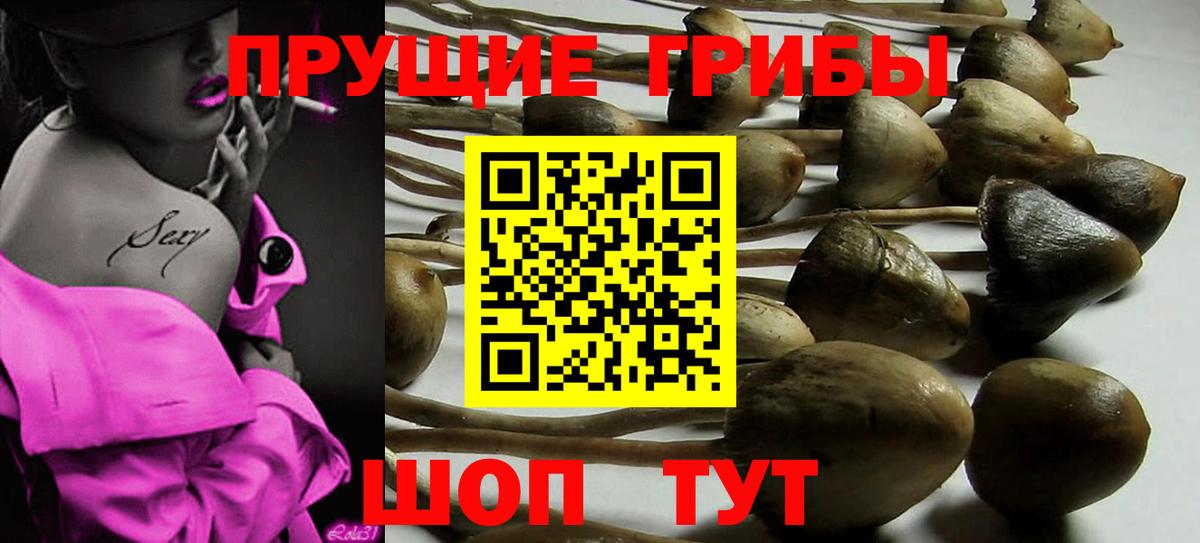 Галлюциногенные грибы мицелий  Вход с VPN  Миллерово  Псилоцибиновые грибы Cubensis 